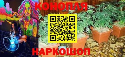 эйфоретик Бузулук