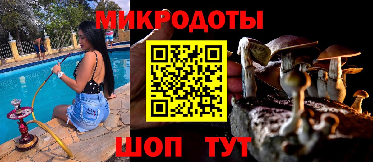 Галлюциногенные грибы GOLDEN TEACHER Озёрск