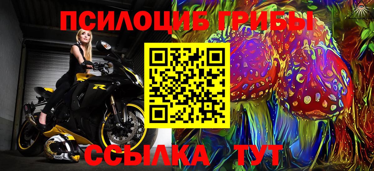 Озёрск  Галлюциногенные грибы Psilocybine cubensis  Вход с VPN 